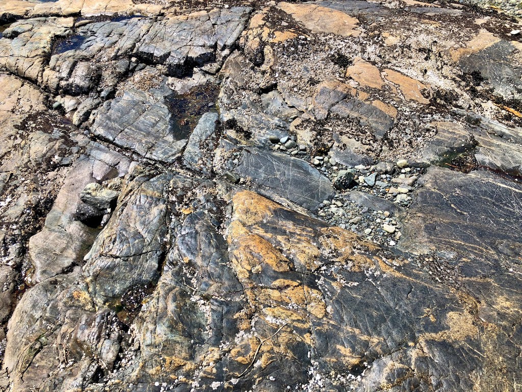 Clover Point Park | 1303 Clover Point, Victoria, BC V8S 1A1, Canada | Phone: (250) 361-0500