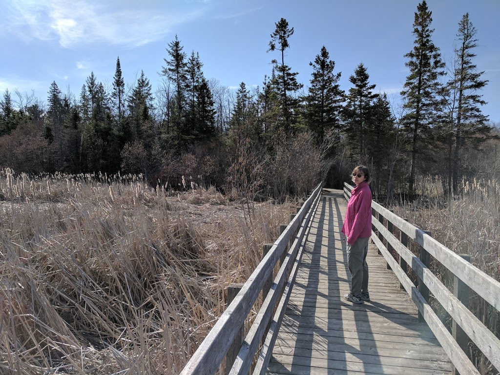 Jack Pine Trail | Moodie Dr, Nepean, ON K2R 1H4, Canada