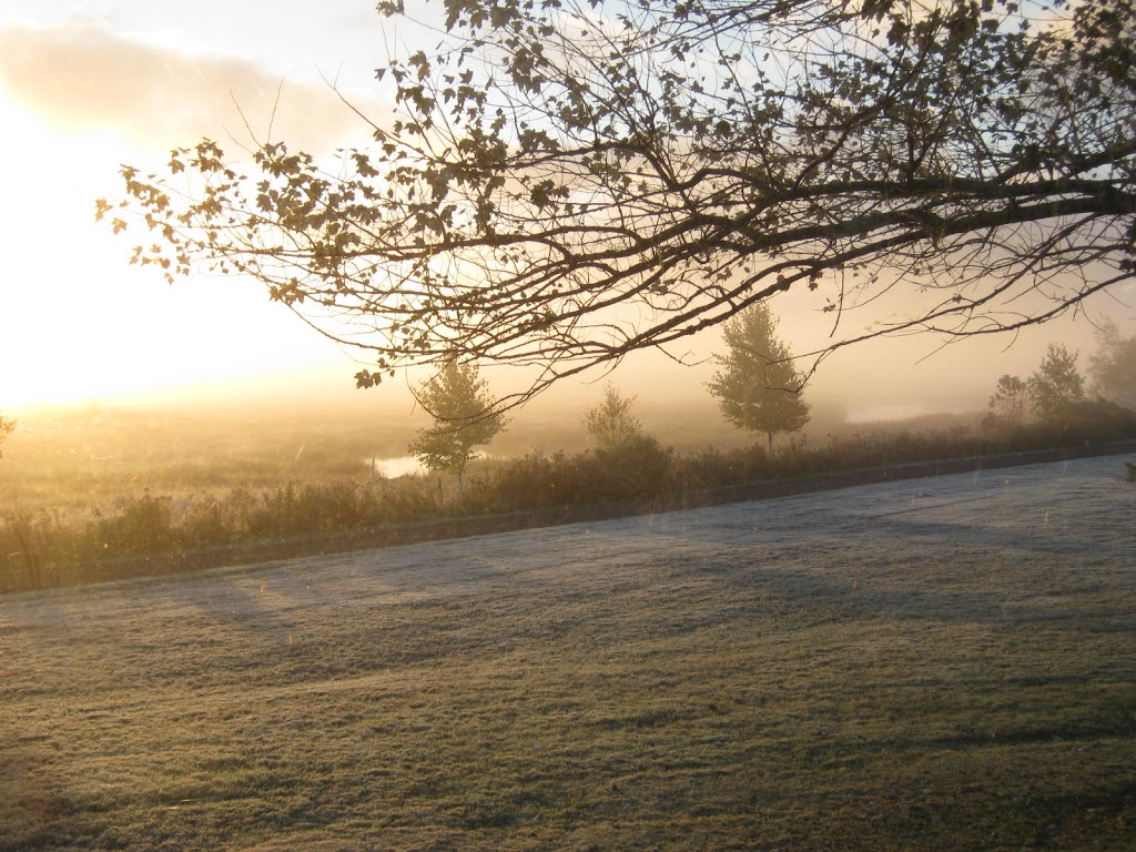 The Birches Cottages | 1517 Pownal Rd, Alexandra, PE C1B 2T2, Canada | Phone: (902) 394-2075