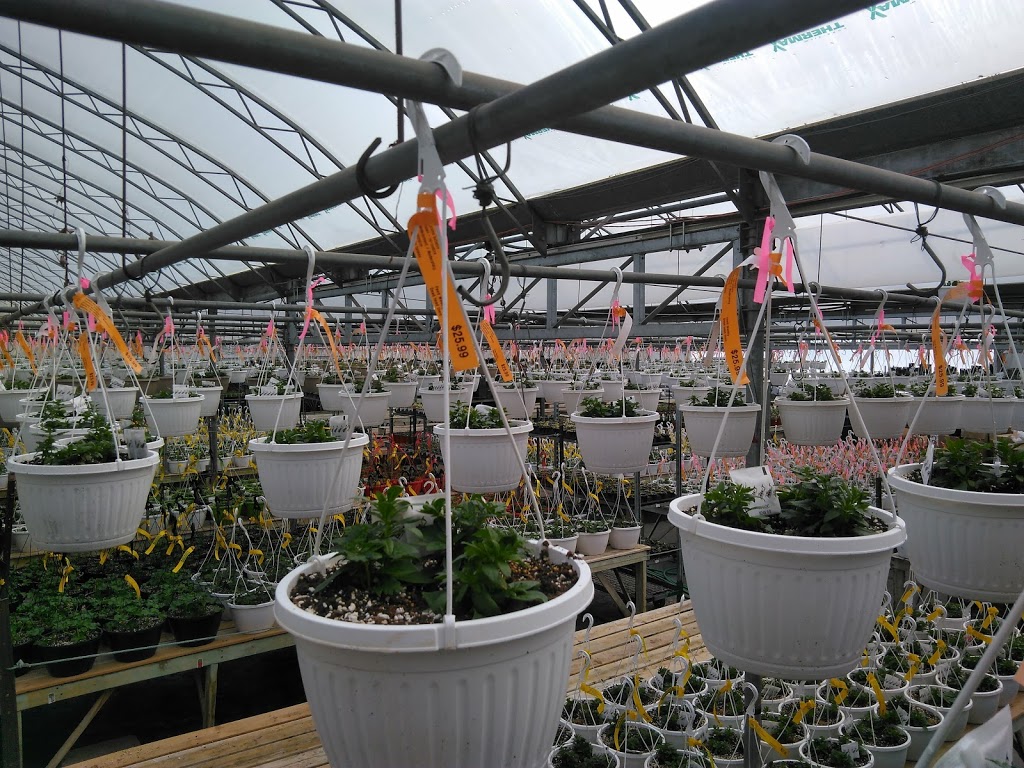 Jardin Cleroux inc | 13230 Boul Gouin O, Pierrefonds, QC H8Z 1X3, Canada | Phone: (514) 626-6040