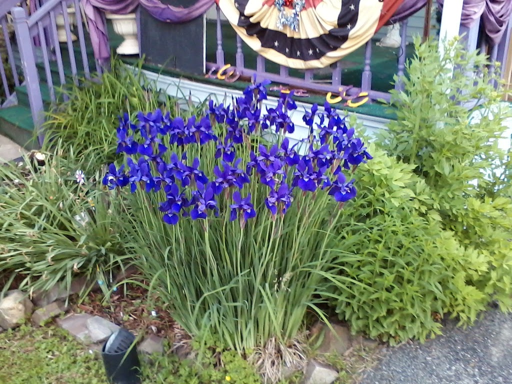 Herbal Magick Inc | 402 West Ave, Lockport, NY 14094, USA | Phone: (716) 439-5144