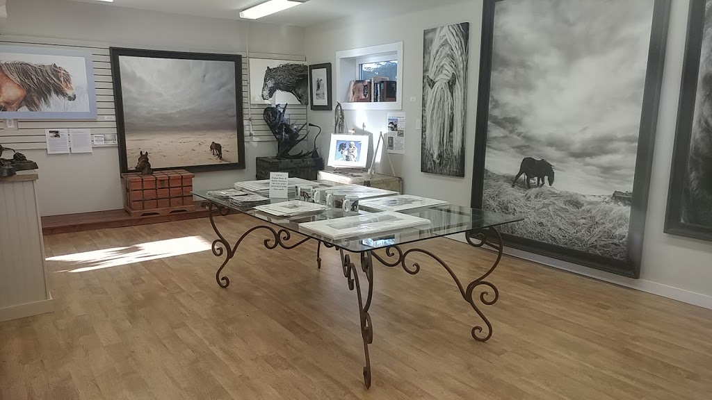 Garside Gallery & Debra Garside Photography | 134 Morrison Rd, Longview, AB T0L 1H0, Canada | Phone: (403) 617-0588