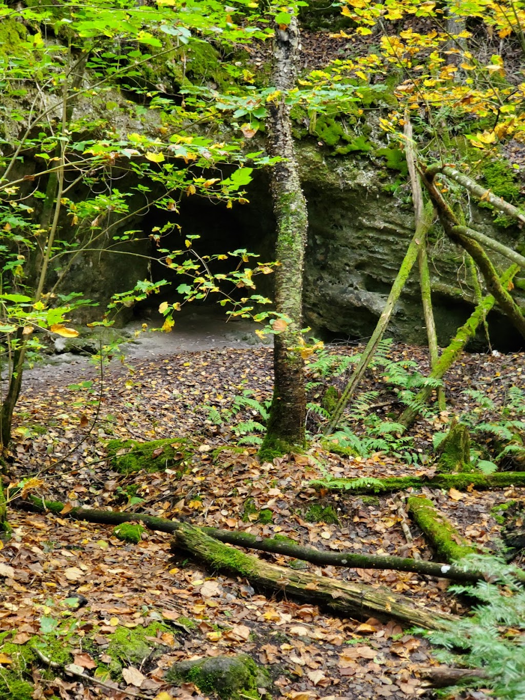 High Dump Backcountry Campground | Miller Lake, ON N0H 1Z0, Canada | Phone: (519) 596-2263