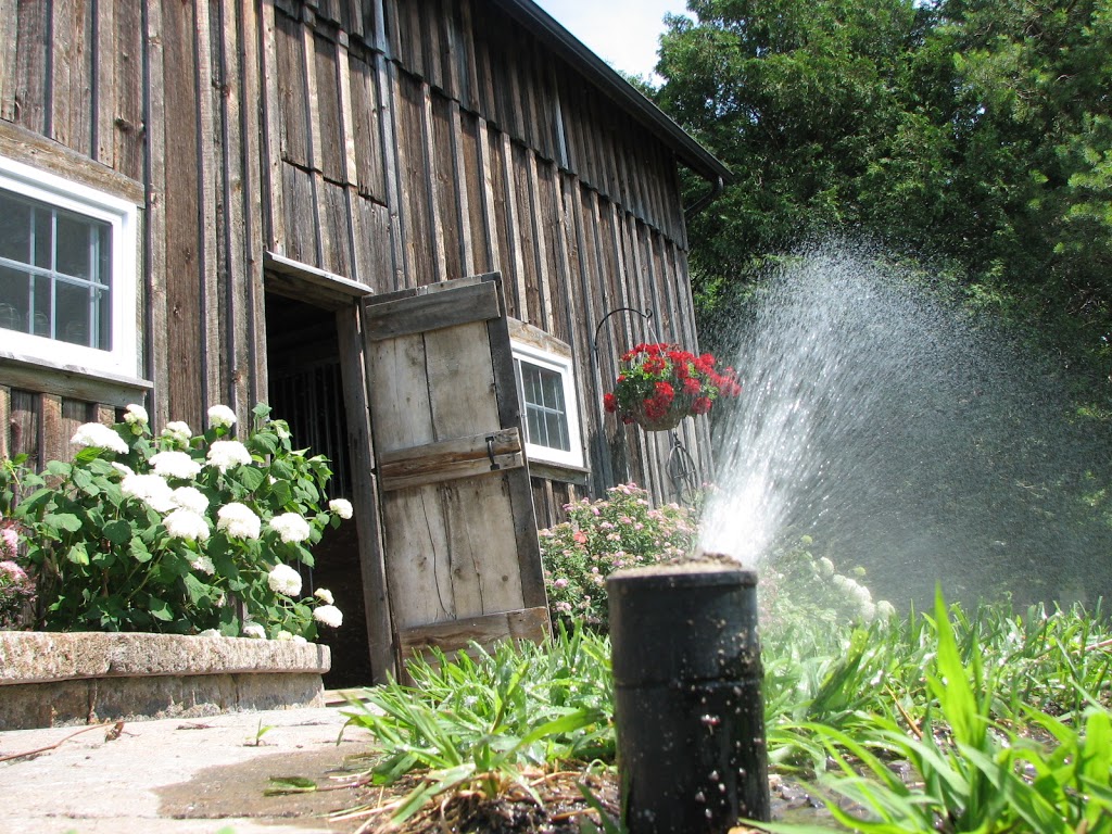 Nutri-Lawn Ecology Friendly Lawn Care Ottawa West | 2046 Carp Rd, Carp, ON K0A 1L0, Canada | Phone: (613) 801-3428