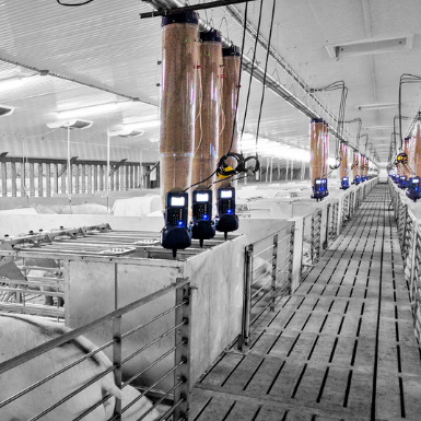 Jyga Technologies Inc | 175 Rue Damase Breton, Saint-Lambert-de-Lauzon, QC G0S 2W0, Canada | Phone: (418) 836-7853