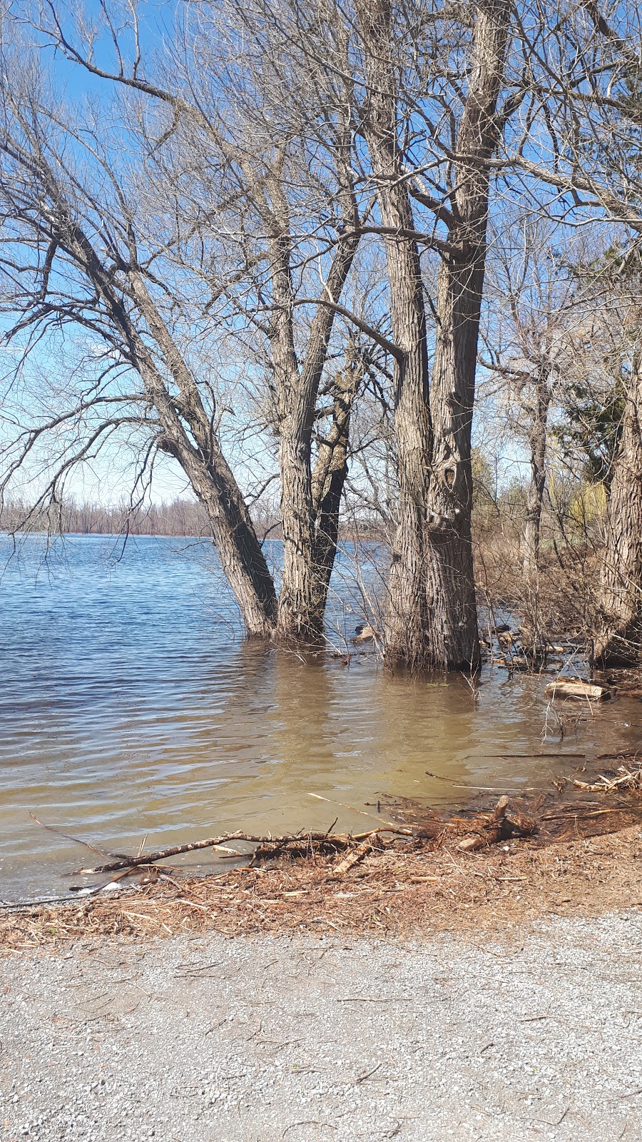 Appleton Bay Park | 510 River Rd, Almonte, ON K0A 1A0, Canada