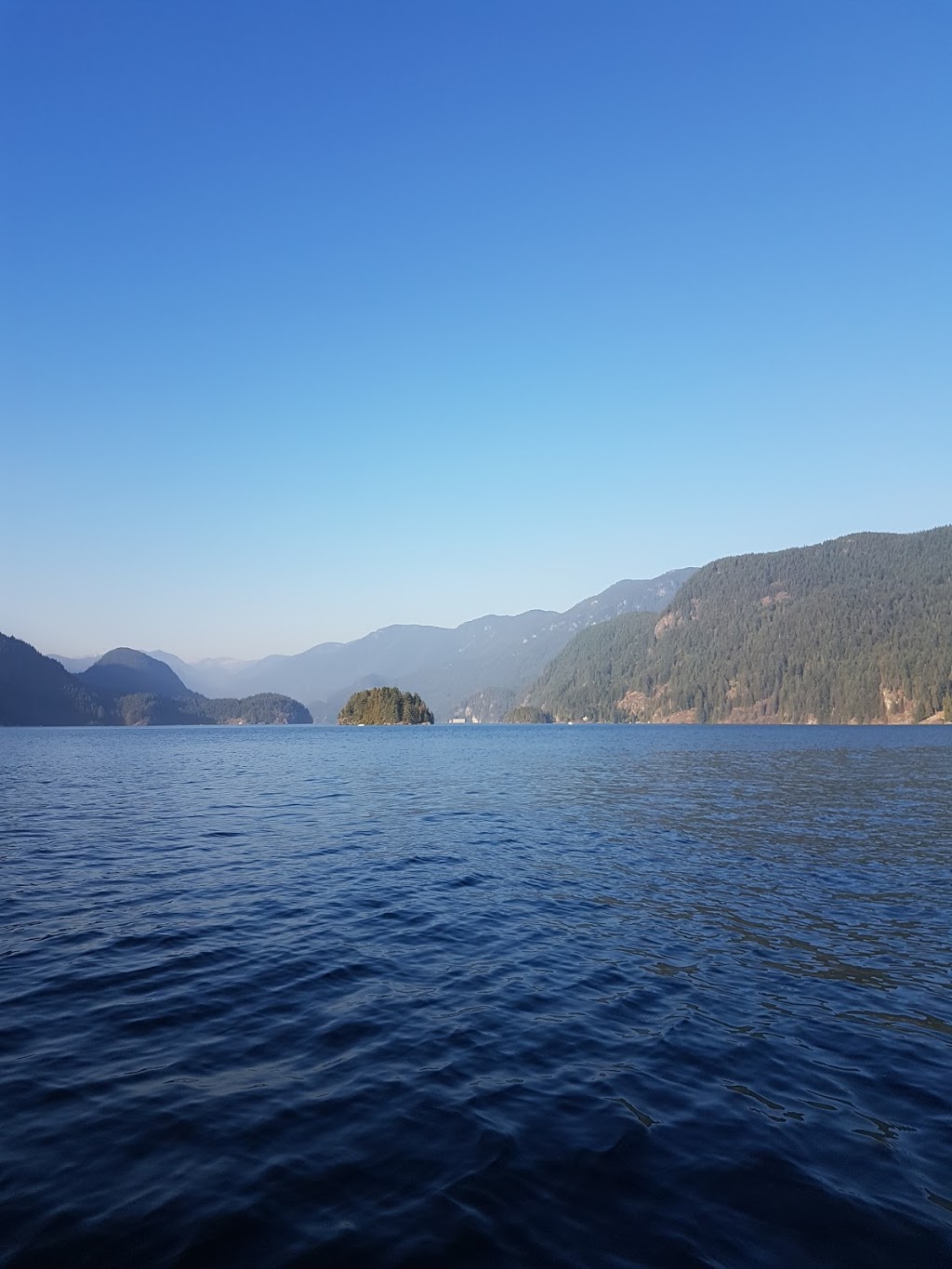 Oakwood Consulting Inc | 237 Turtlehead Rd, Belcarra, BC V3H 4P3, Canada | Phone: (604) 936-5161