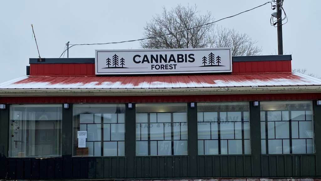 Cannabis Forest | 2 Ottawa St W Unit B, Havelock, ON K0L 1Z0, Canada | Phone: (705) 778-3226