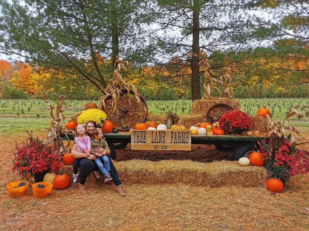 Tree Lane Farms | 13073 Twelve Mile Rd, Ilderton, ON N0M 2A0, Canada | Phone: (519) 666-0154