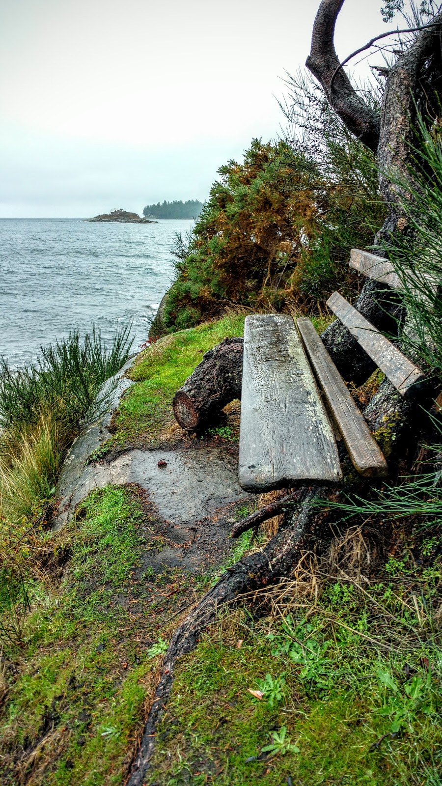 Morning Beach | 109 Harper Rd, Galiano Island, BC V0N 1P0, Canada