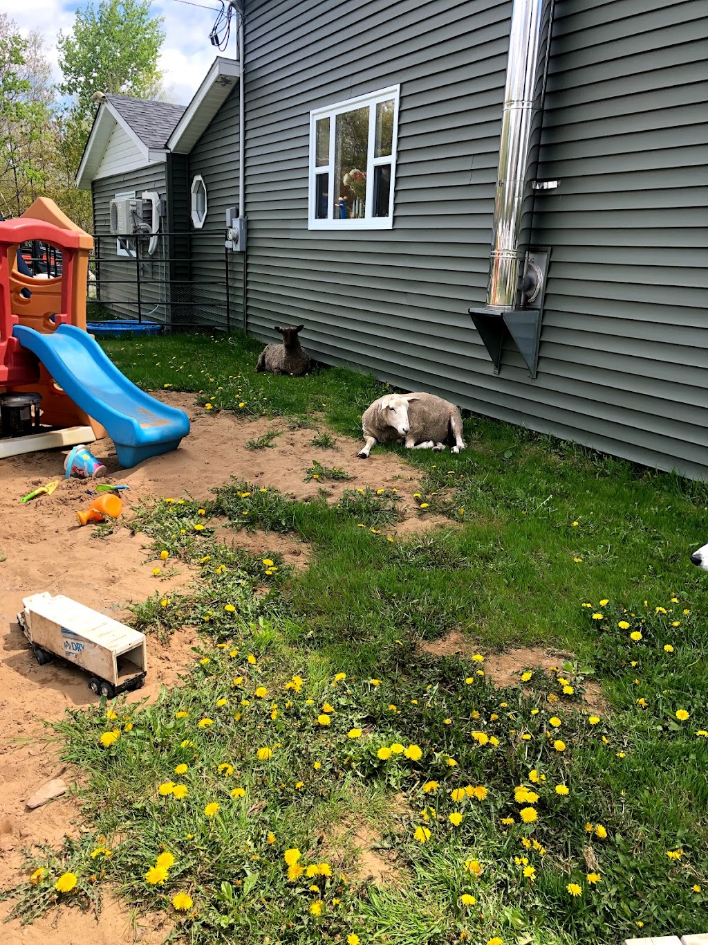 Grand Lake Campground | Booth Rd, Newcastle Creek, NB E4B 2H9, Canada | Phone: (506) 327-5367