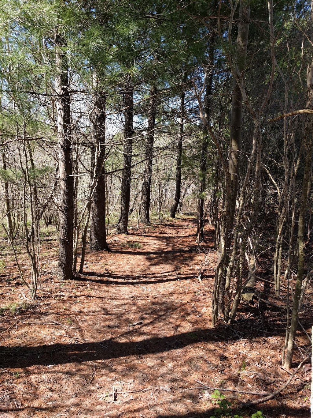A.W. Campbell Conservation Area | Alvinston, ON N0N 1A0, Canada | Phone: (519) 847-5357