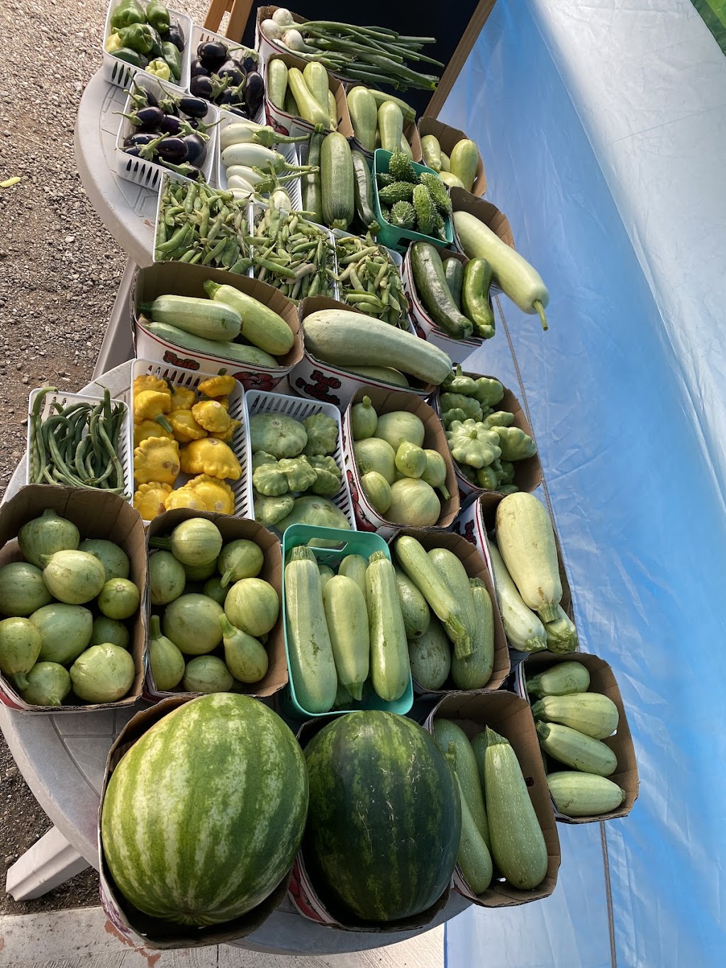 Mono Farm | 933128 Airport Rd, Mono, ON L9W 6C9, Canada | Phone: (647) 887-3255