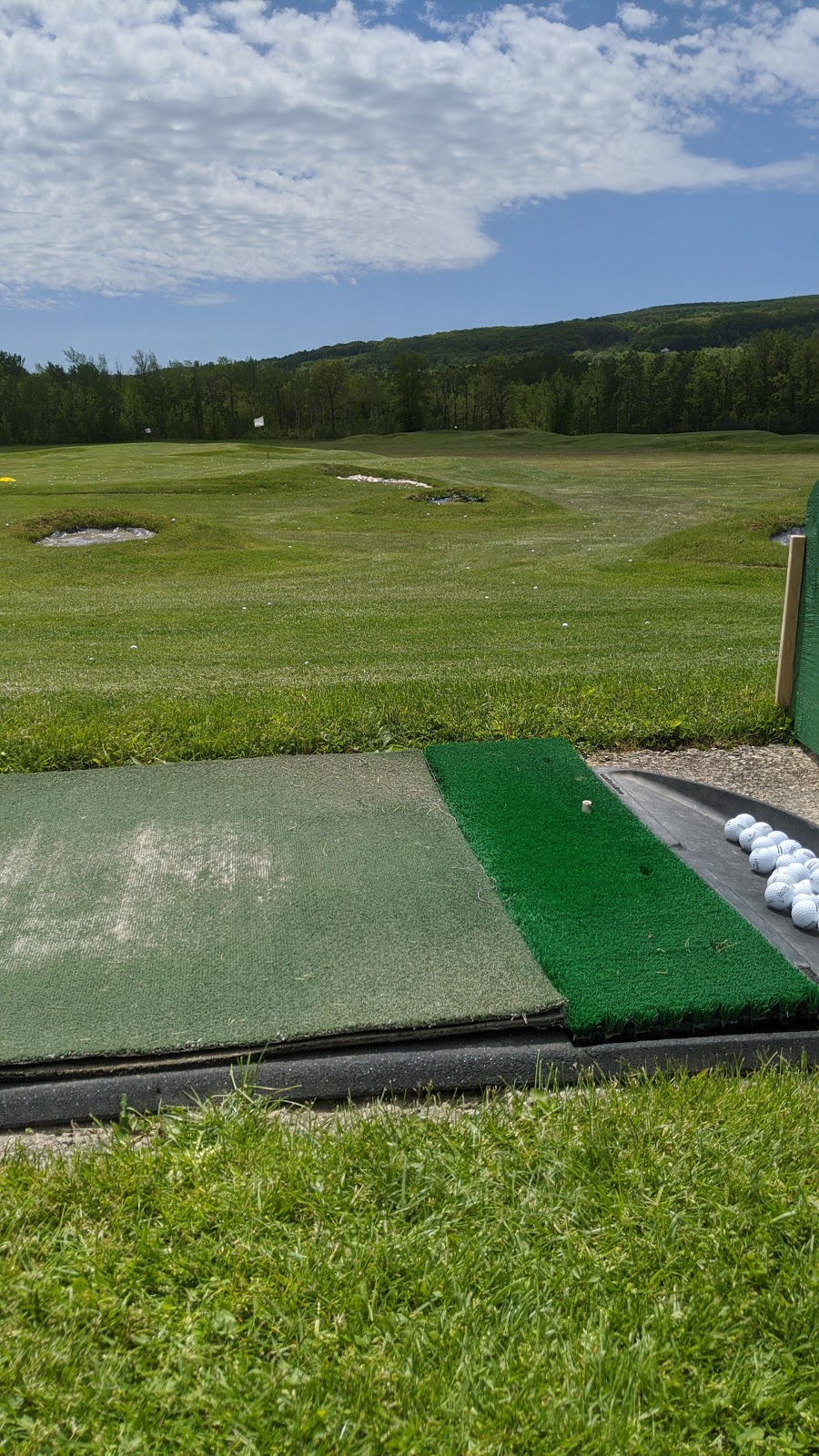 Tees Please | Blue Mountain Rd, Collingwood, ON L9Y 0N5, Canada | Phone: (705) 445-5959