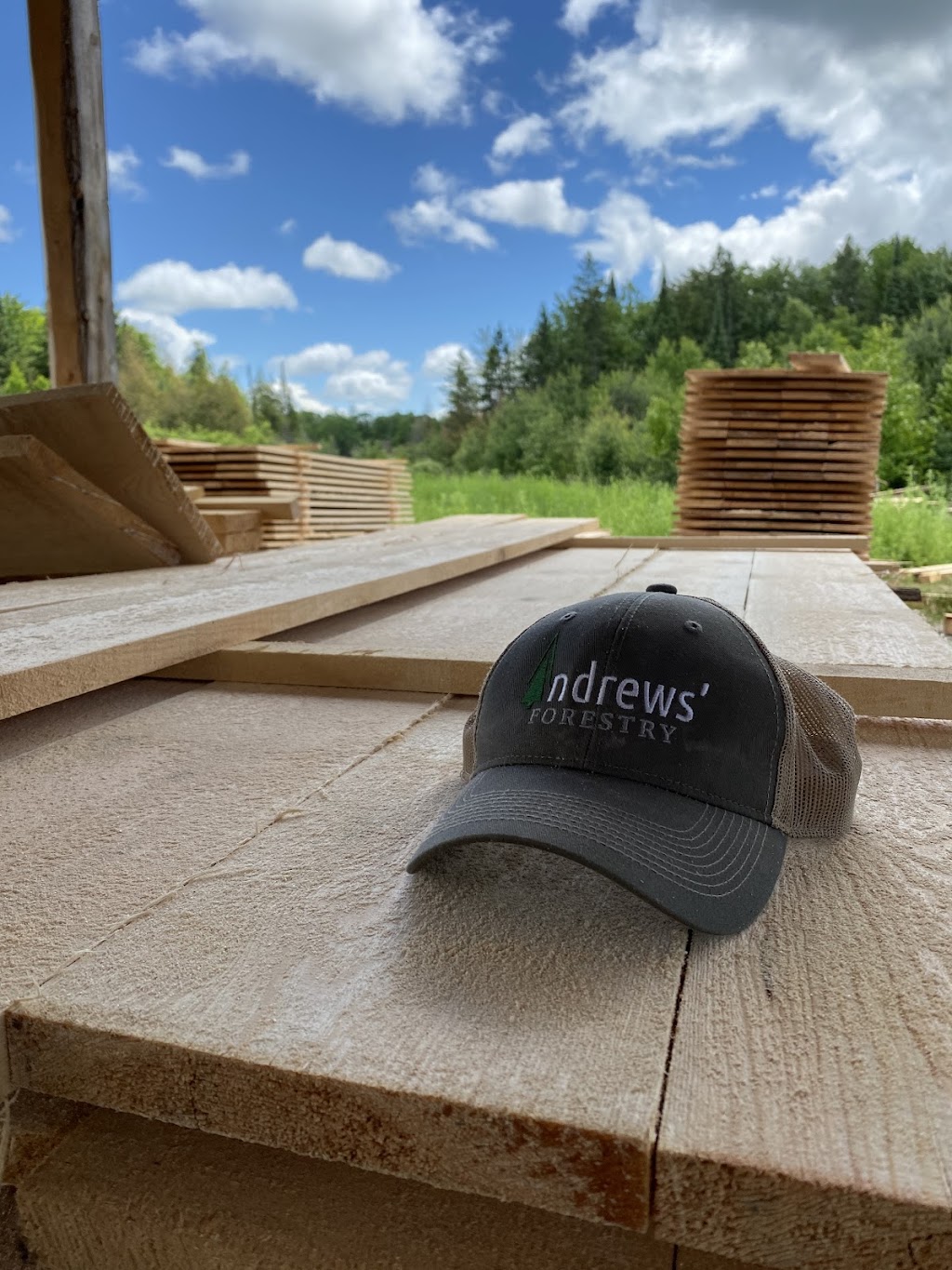 Andrews Forestry And Construction | McLarty Rd, Douglas, ON K0J 1S0, Canada | Phone: (613) 433-6644