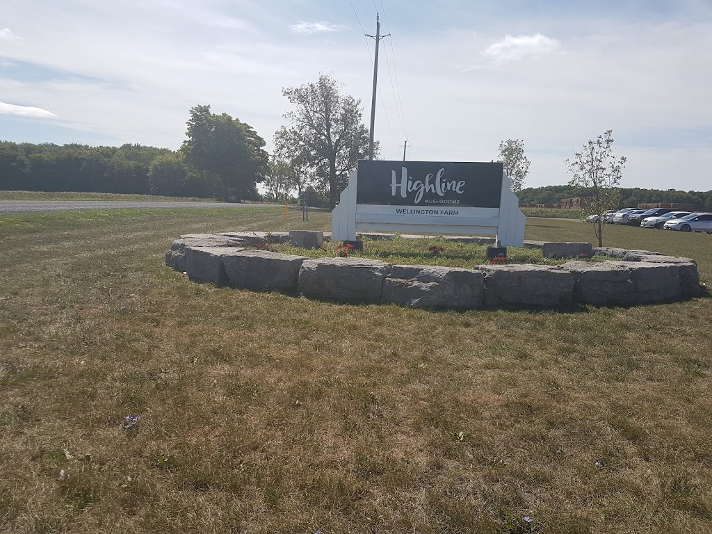 Highline Mushrooms Wellington | 339 Conley Rd, Bloomfield, ON K0K 1G0, Canada | Phone: (613) 399-3121