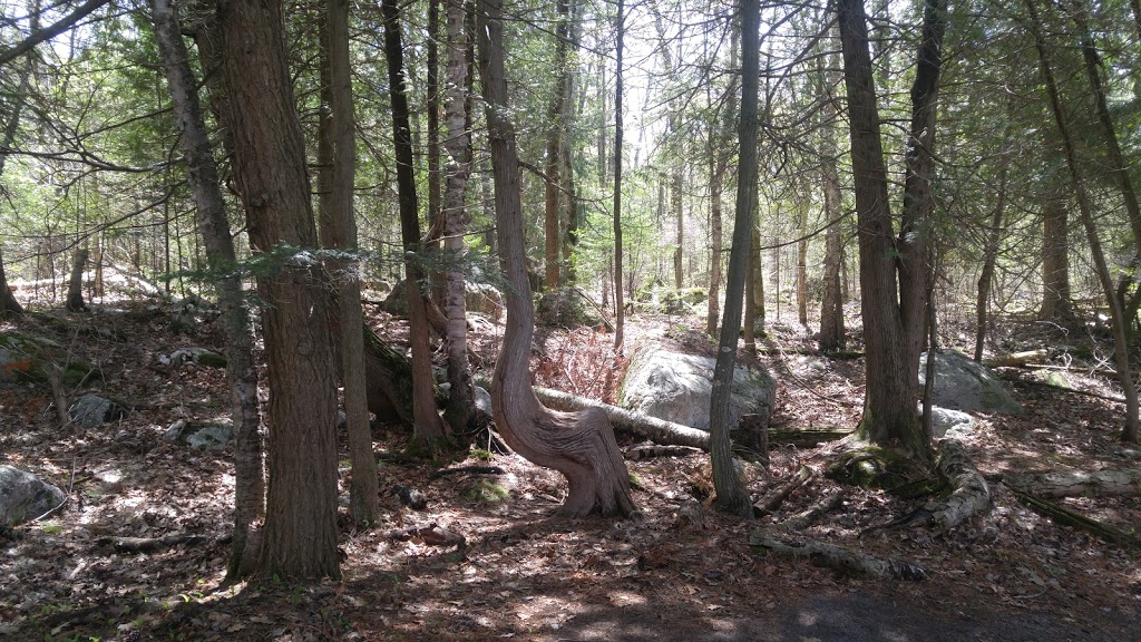 Awenda Provincial Park | Tiny, ON L9M 1R2, Canada
