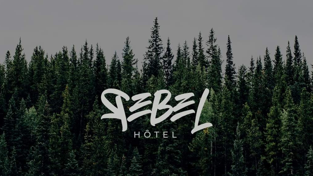 Rebel Hôtel | 200 Rue Morin, Sainte-Adèle, QC J8B 2P6, Canada | Phone: (819) 275-1066