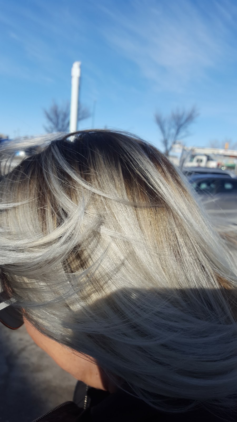 Buffie & Co Salon Spa | 2539 Main St, Winnipeg, MB R2V 4W3, Canada | Phone: (204) 334-2833