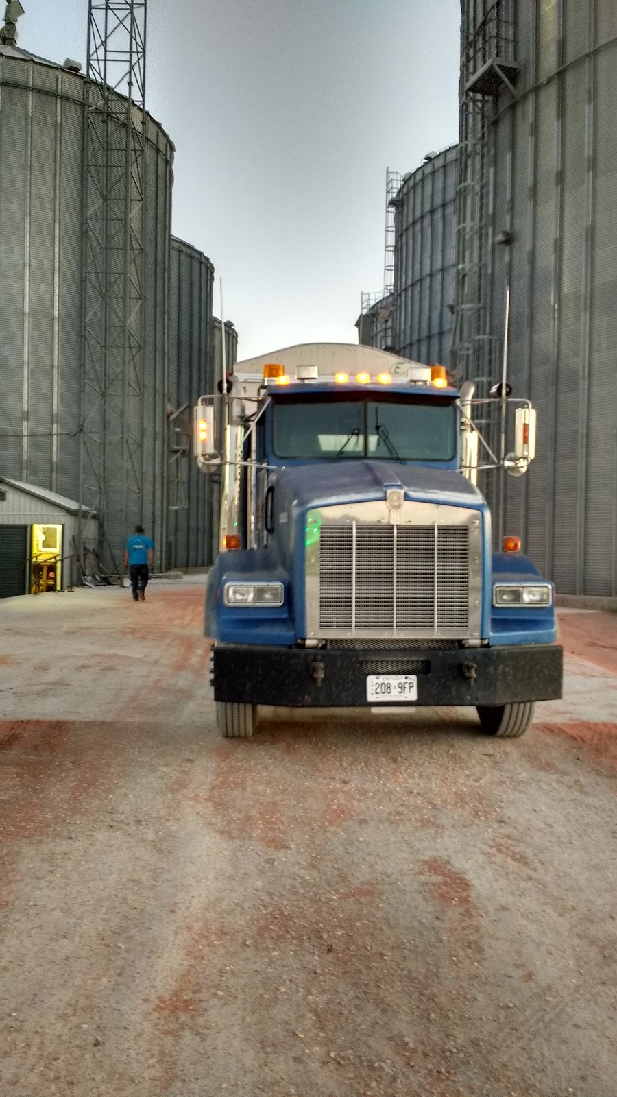 Reesor Elevators - Port Perry | 1256 Scugog Line 6, Port Perry, ON L9L 1B5, Canada | Phone: (905) 985-7007