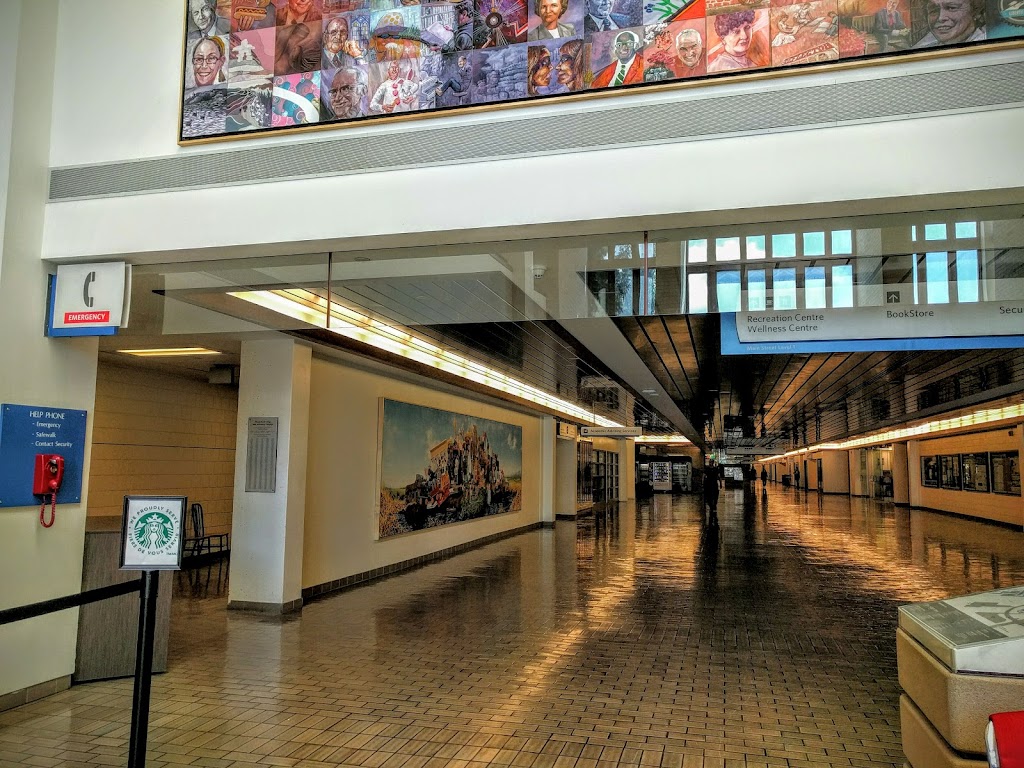 Academic Advising Services | 4825 Mt Royal Gate SW D101, Calgary, AB T3E 7N5, Canada | Phone: (403) 440-6222