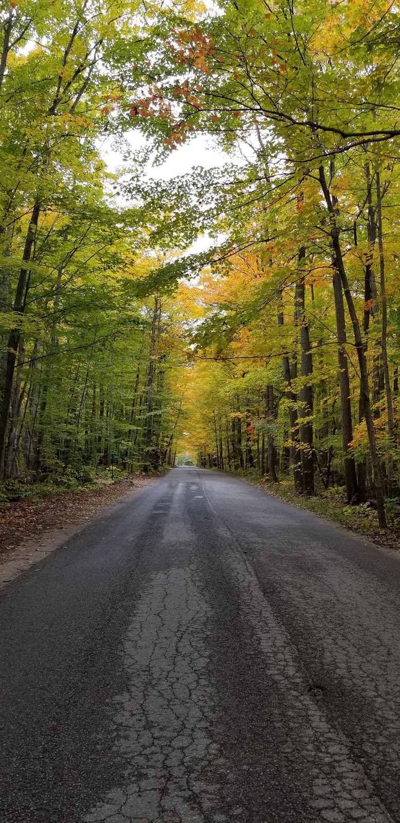 Carthew Bay Nature Reserve | 2501 Lakeshore Rd E, Hawkestone, ON L0L 1T0, Canada