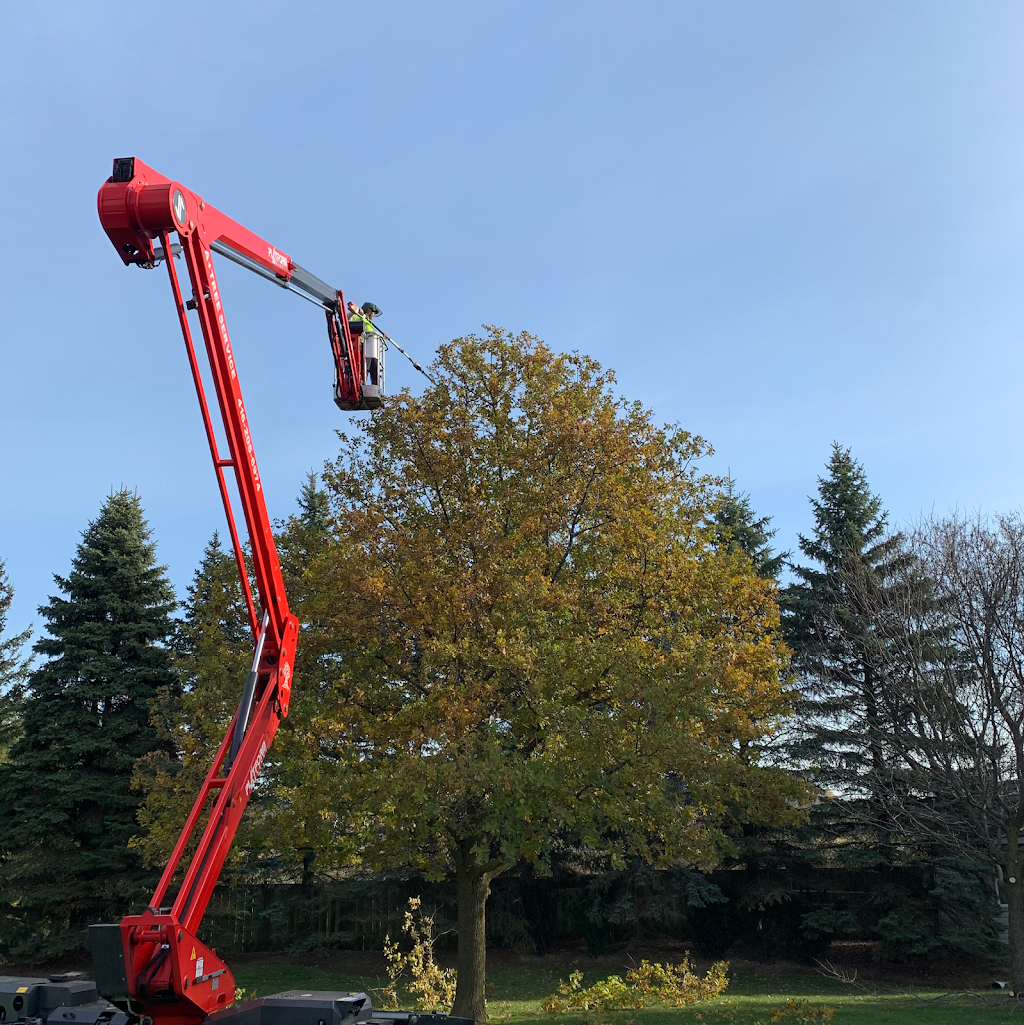 A+ Tree Service Inc. | 37 Summerhill Rd, Holland Landing, ON L9N 1C6, Canada | Phone: (416) 206-6974
