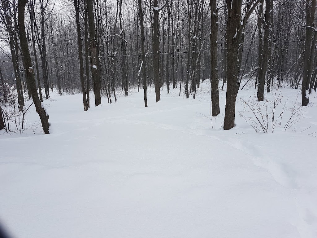 Parc Henri-Martin | 241 Rue Dureault, Granby, QC J2J 2Z7, Canada | Phone: (450) 776-8282