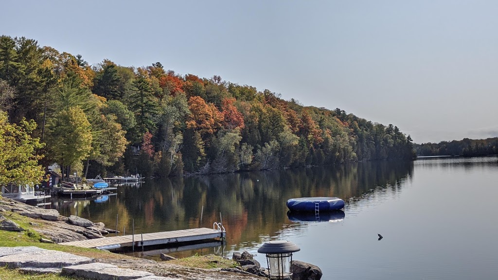 The Trace at Oak Lake | 46 Fire Rte 65A, Havelock, ON K0L 1Z0, Canada | Phone: (705) 877-2959