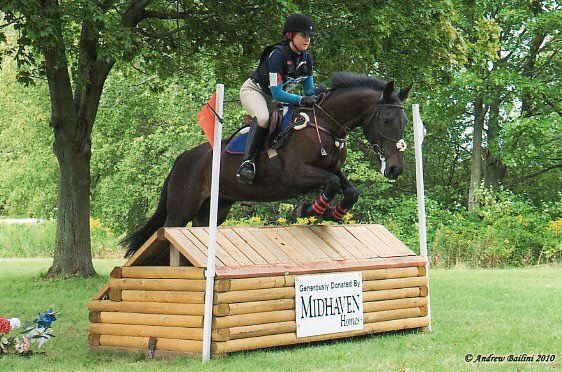 Dreamcrest Equestrian Services | 2130 Shirley Rd, Port Perry, ON L9L 1B3, Canada | Phone: (905) 985-1599