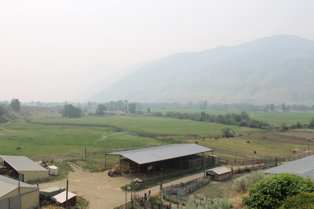 Seven Stones Winery | 1143 BC-3, Cawston, BC V0X 1C3, Canada | Phone: (250) 499-2144