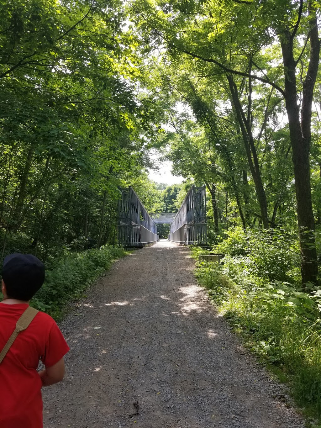 Mountview Waterfall | 985 Scenic Dr, Hamilton, ON L9C 1H7, Canada