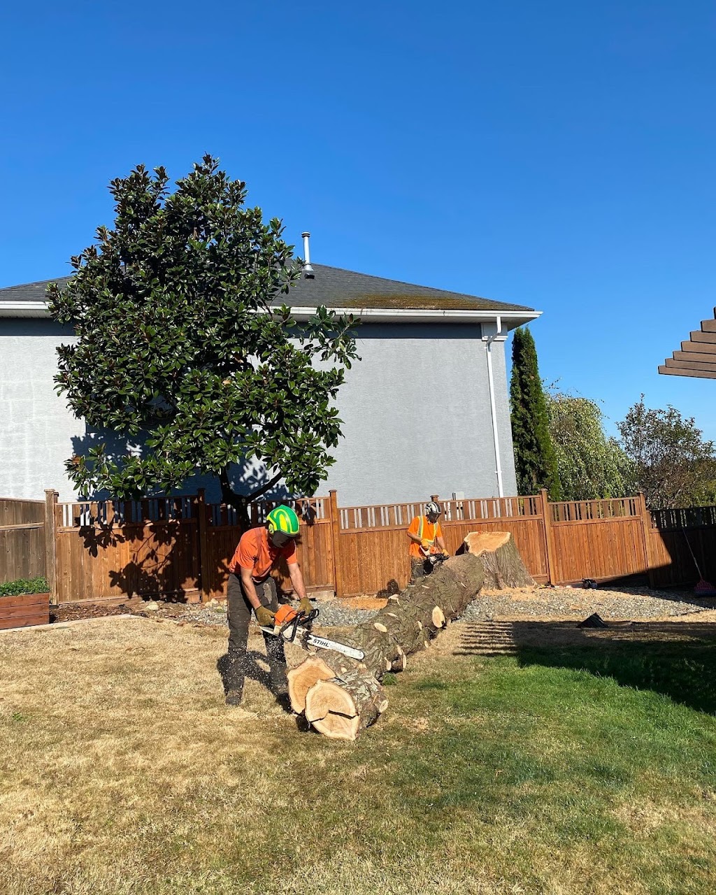 The Orange Tree Service | 1474 Hurford Ave, Courtenay, BC V9N 6X3, Canada | Phone: (250) 207-6764