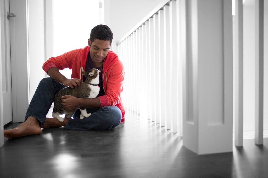 VCA Canada Harvest Hills Animal Hospital | 500 Country Hills Blvd NE #711, Calgary, AB T3K 4Y7, Canada | Phone: (403) 226-5522