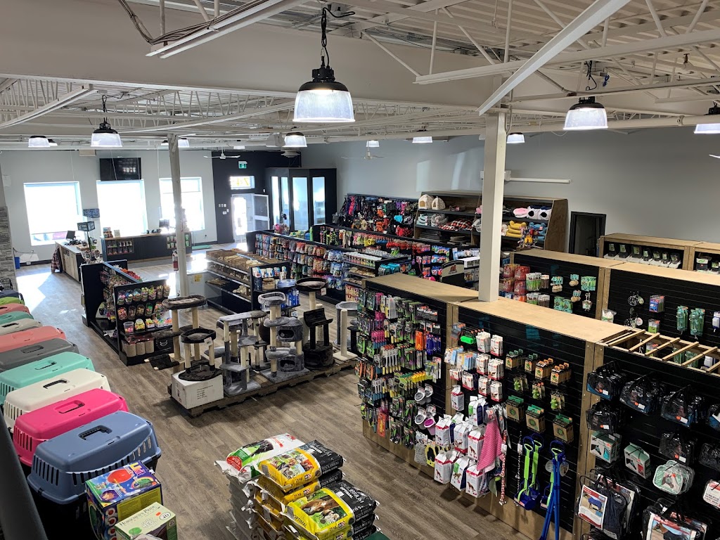 Boutique Du Compagnon | 745 9e Rue N, Thetford Mines, QC G6G 7B9, Canada | Phone: (418) 755-0408