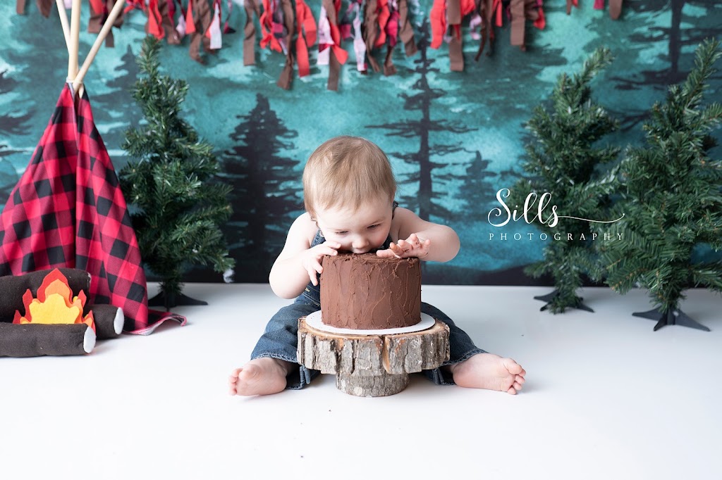 Sills Photography | 505 Mill St, Neustadt, ON N0G 2M0, Canada | Phone: (519) 369-1457