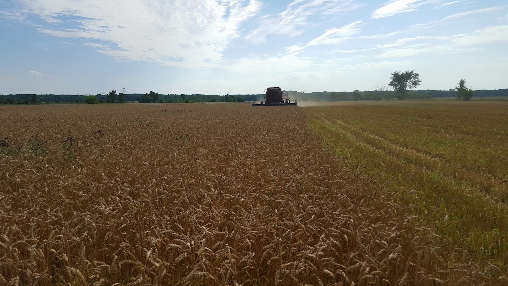 Fermes Longpres Ltee | 1854 Chem. du Fleuve, Les Cèdres, QC J7T 1E4, Canada | Phone: (450) 452-4559