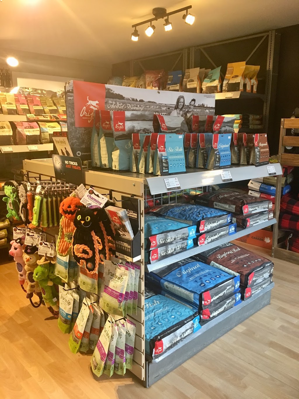 RuffMutts | 290 Main St Unit D, Niverville, MB R0A 1E0, Canada | Phone: (204) 846-7833