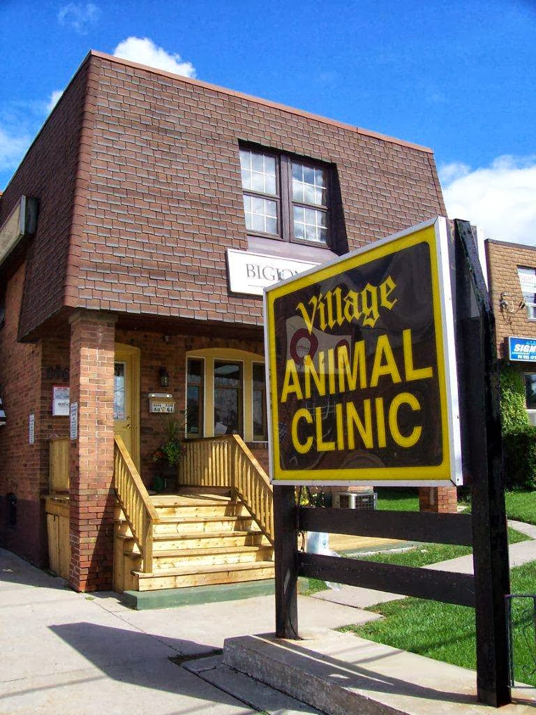 Village Animal Clinic | 6060 York Regional Rd 7, Markham, ON L3P 3A9, Canada | Phone: (905) 294-9395