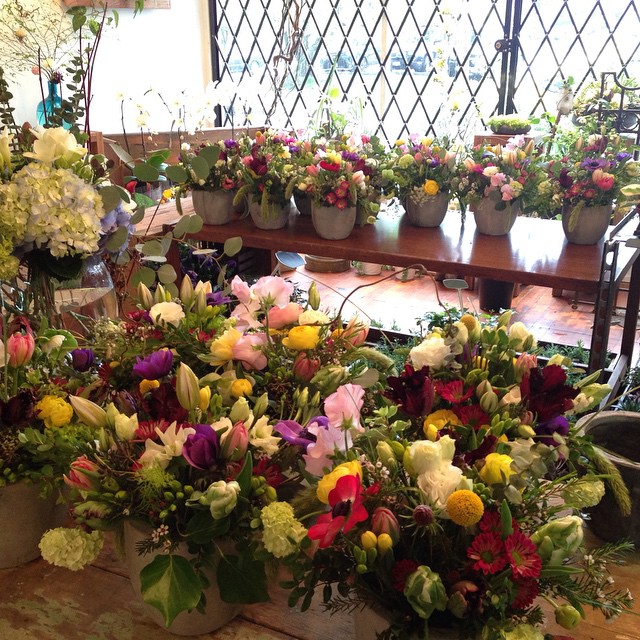 Studio Full Bloom | 831 Commercial Dr, Vancouver, BC V5L 3W6, Canada | Phone: (604) 255-1866