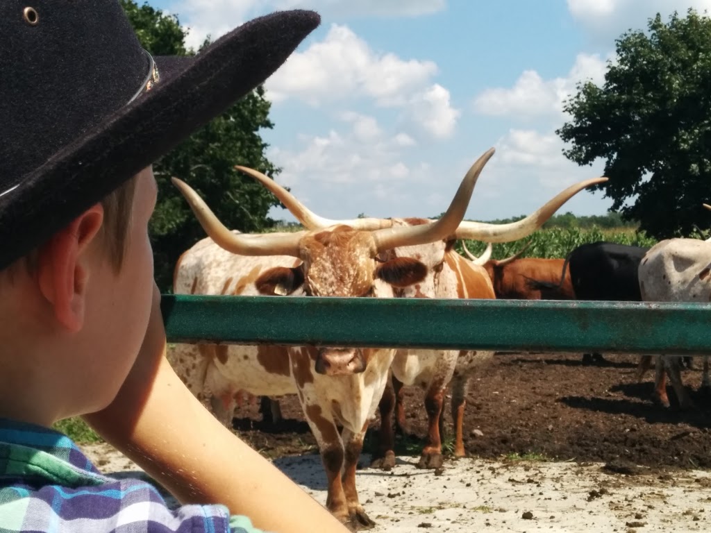 Terra Nova Farms Ltd | 676212 16 Line, Bright, ON N0J 1B0, Canada | Phone: (519) 532-6077