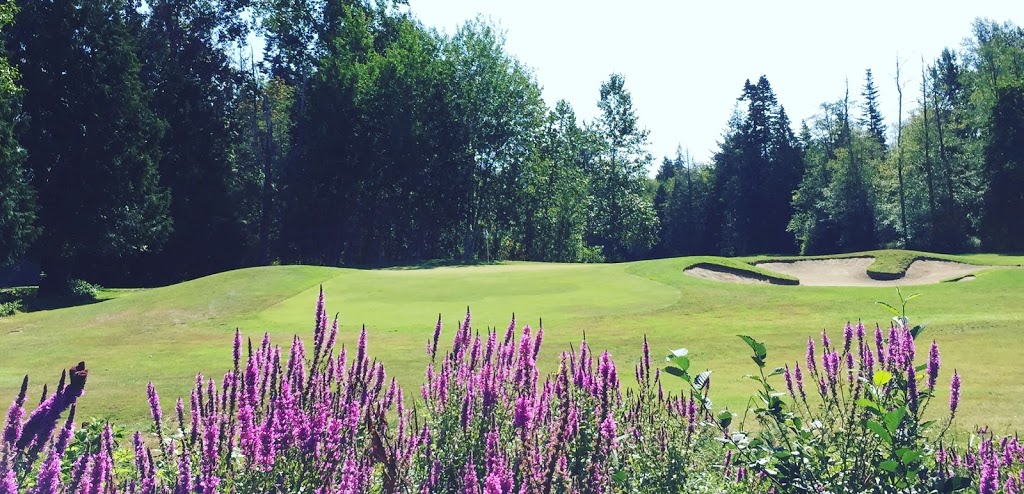 Bald Eagle Golf Club at Point Roberts | 1350 Pelican Pl, Point Roberts, WA 98281, USA | Phone: (866) 460-0368