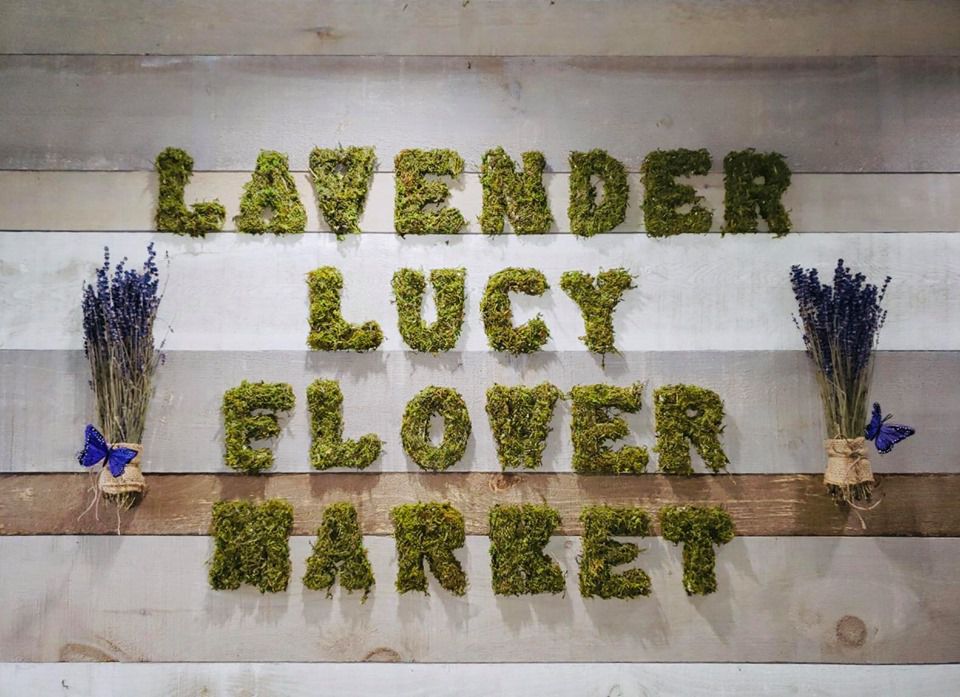 Lavender Lucy Flowers | florist | 564 Water St, St. Johns, NL A1E 1B7, Canada | 7095715829 OR +1 709-571-5829