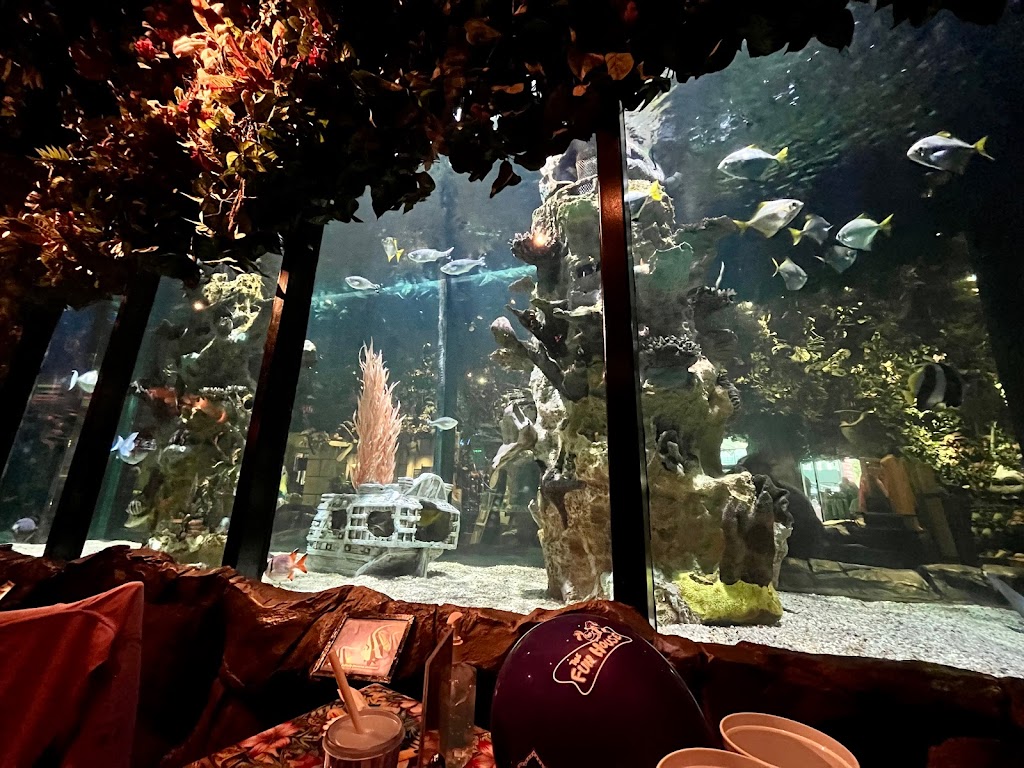 Rainforest Cafe Niagara Falls | 4915 Clifton Hill, Niagara Falls, ON L2G 3N5, Canada | Phone: (905) 374-5210