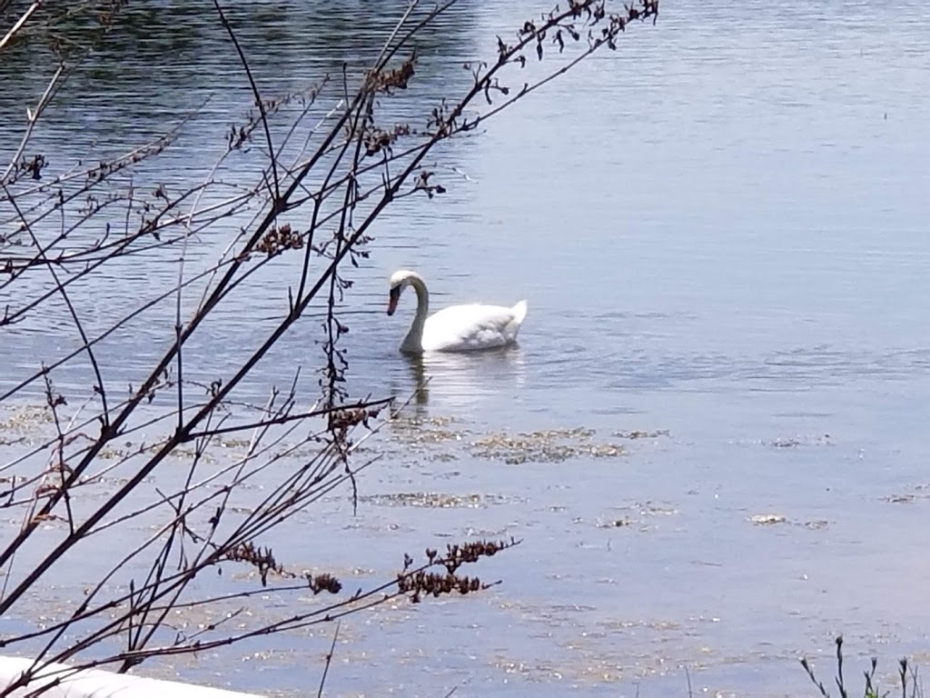 Wm.P. Thompson Pond | 2499 40th St, Port Huron, MI 48060, USA