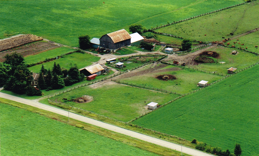 Brown Eden Limousin | 768 Zion Rd, Little Britain, ON K0M 2C0, Canada | Phone: (705) 786-1605
