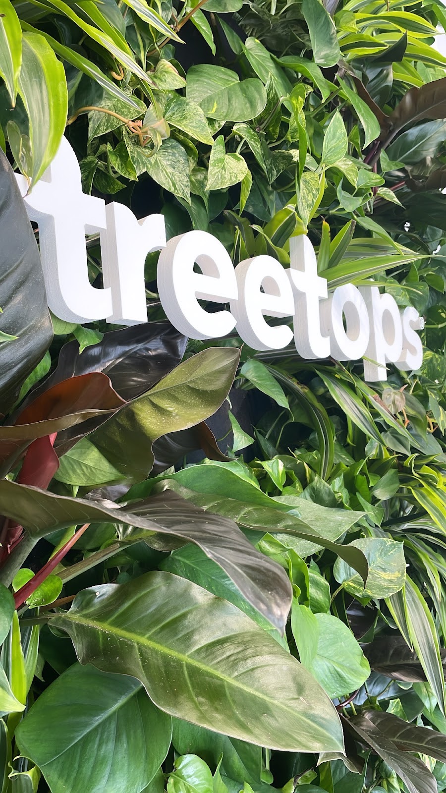 TreeTops Cannabis Co. | 4063 Hamilton Rd, Dorchester, ON N0L 1G2, Canada | Phone: (519) 268-2300