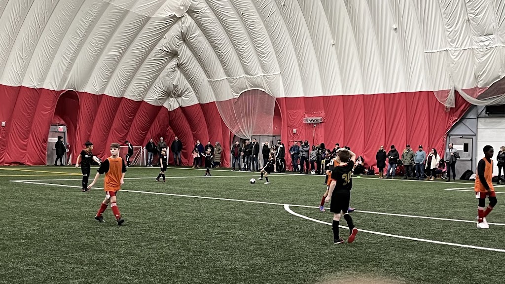 Barrie Cardinals Soccer | 59 Lampman Ln, Barrie, ON L4N 5G4, Canada | Phone: (647) 378-8742
