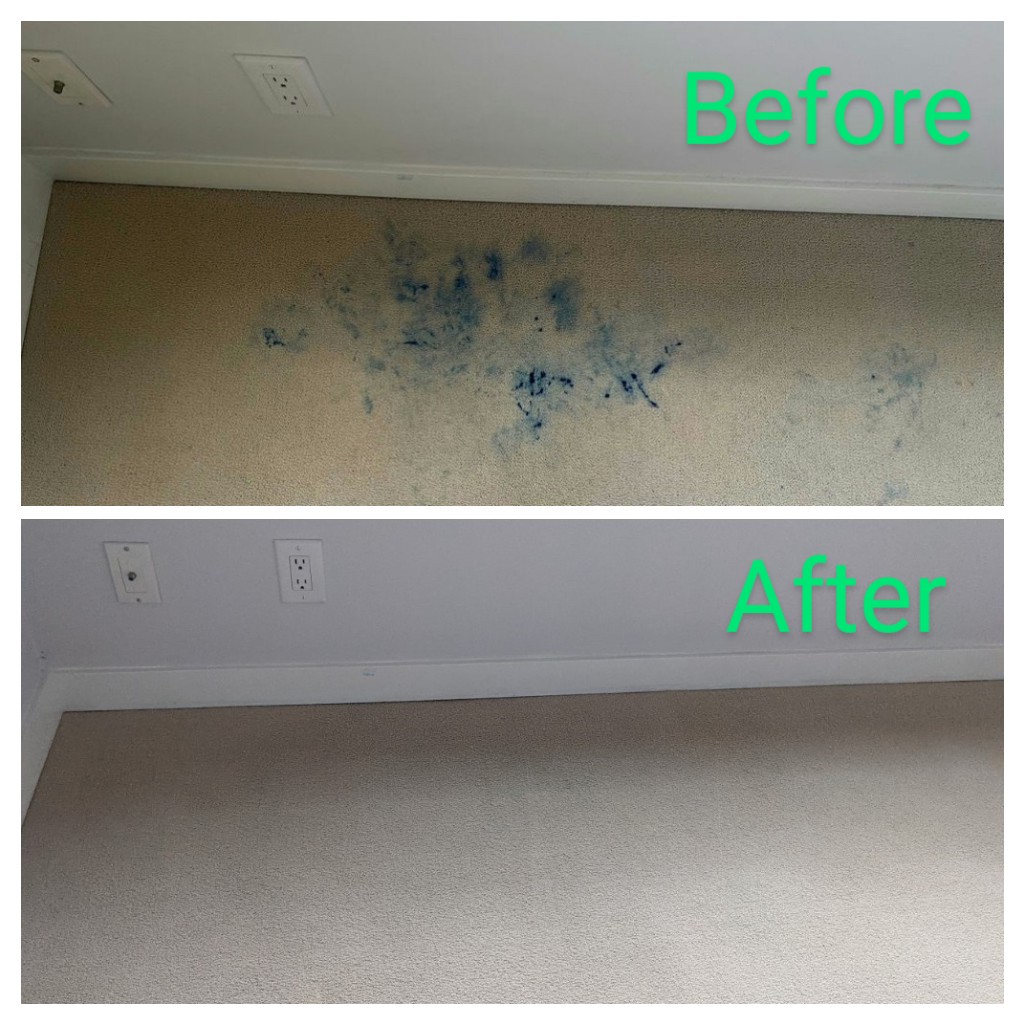 Cactus Carpet Care Ltd. | 14616 80A Ave, Surrey, BC V3S 9Y6, Canada | Phone: (604) 692-2539