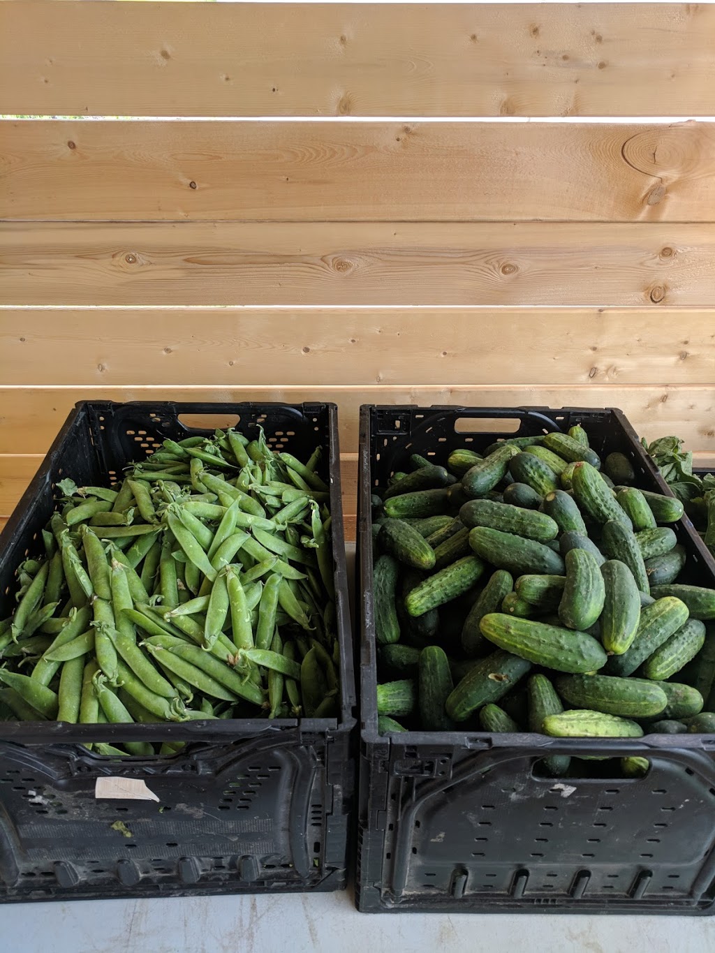 Olde Cramb Farm | 2Z0, Rockwood Rd, Stonewall, MB R0C 2Z0, Canada | Phone: (204) 467-2850